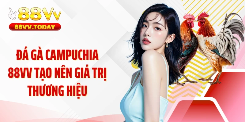 Đá gà Campuchia 88VV tạo nên giá trị thương hiệu