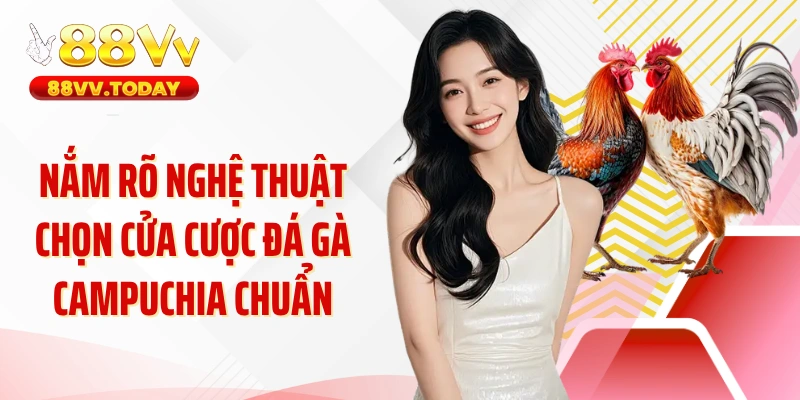 Nắm rõ nghệ thuật chọn cửa cược đá gà Campuchia chuẩn