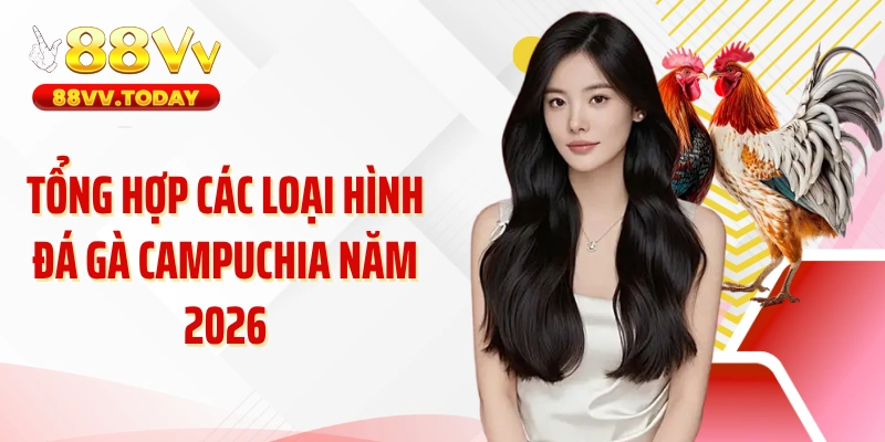 Tổng hợp các loại hình đá gà Campuchia năm 2026
